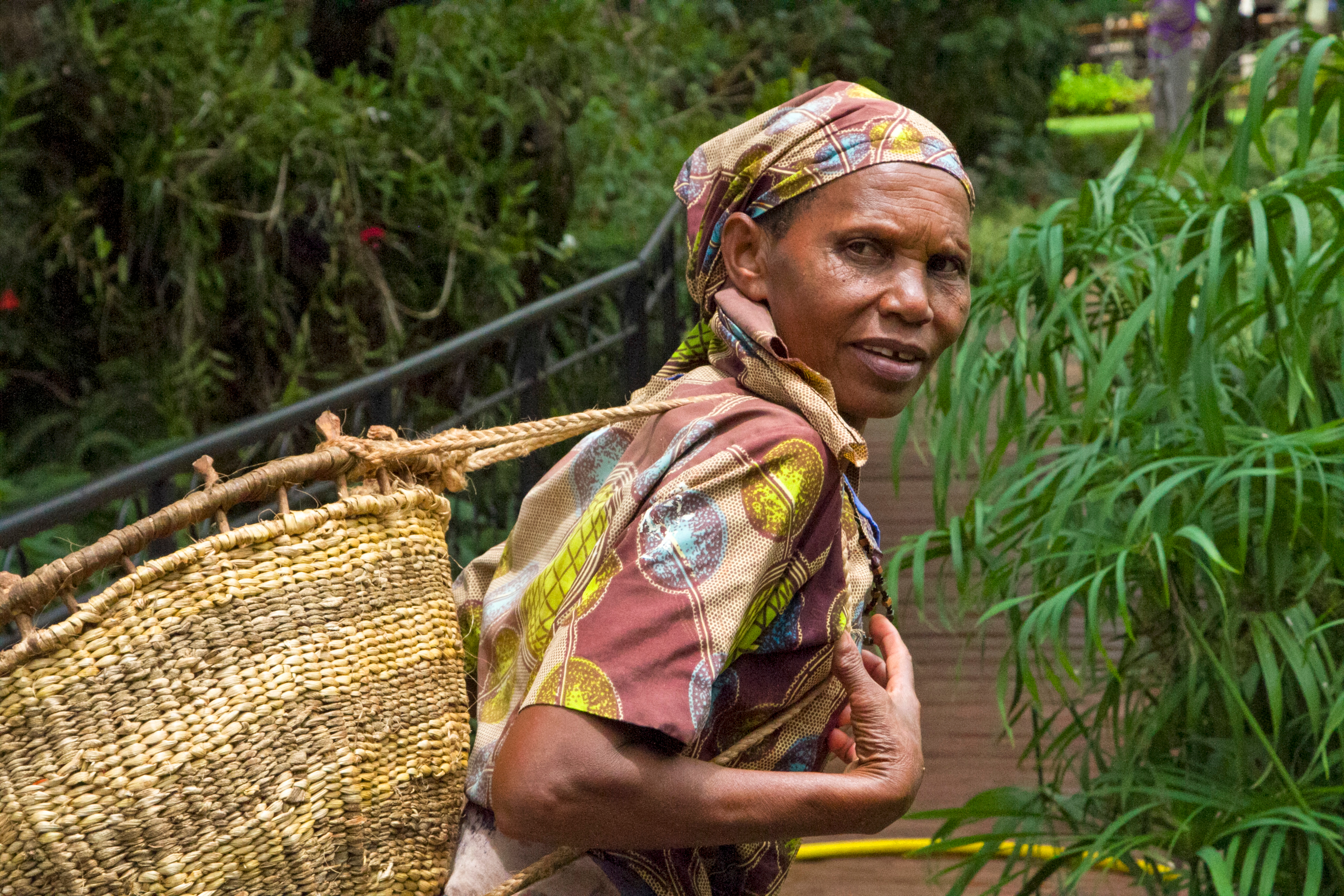 Farmer Africa