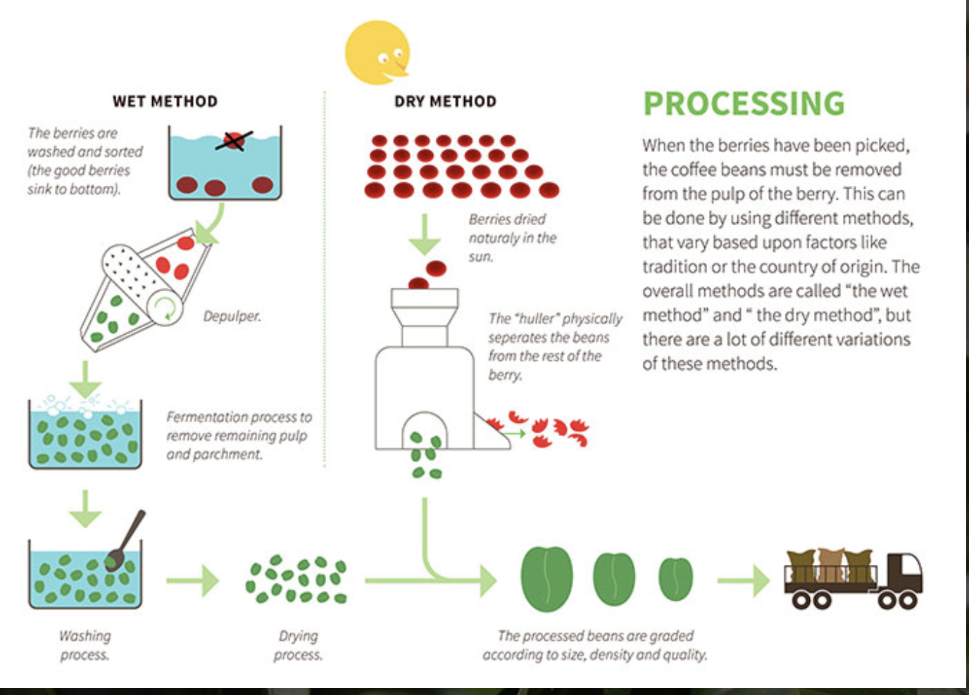 Fermentering Fra Kontarcoffee